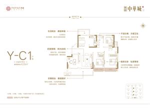 Y-C1 ���҃ɏd���l(w��i)